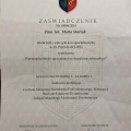 Powiększ obraz: certificate 8