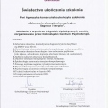 Powiększ obraz: certificate 4