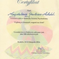 Powiększ obraz: certificate 6