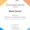 Powiększ obraz: certificate 10