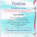 Powiększ obraz: certificate 7