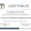 Powiększ obraz: certificate 9