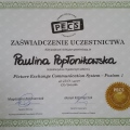Powiększ obraz: certificate 3