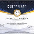 Powiększ obraz: certificate 23