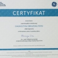 Powiększ obraz: certificate 6