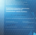 Powiększ obraz: certificate 8