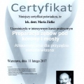 Powiększ obraz: certificate 5