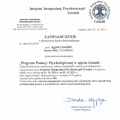 Powiększ obraz: certificate 9
