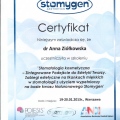 Powiększ obraz: certificate 6
