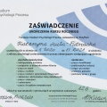 Powiększ obraz: certificate 8