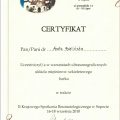 Powiększ obraz: certificate 4