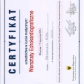 Powiększ obraz: certificate 13