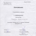 Powiększ obraz: certificate 12