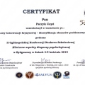 Powiększ obraz: certificate 9