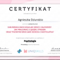 Powiększ obraz: certificate 2