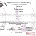 Powiększ obraz: certificate 2