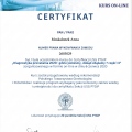 Powiększ obraz: certificate 8