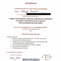 Powiększ obraz: certificate 7