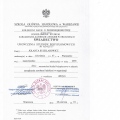 Powiększ obraz: certificate 3