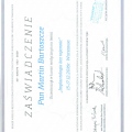 Powiększ obraz: certificate 2