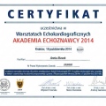 Powiększ obraz: certificate 17