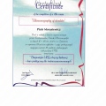 Powiększ obraz: certificate 14