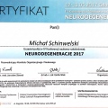 Powiększ obraz: certificate 4