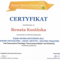 Powiększ obraz: certificate 3