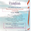 Powiększ obraz: certificate 17