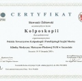 Powiększ obraz: certificate 5