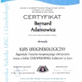Powiększ obraz: certificate 19