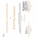 Powiększ obraz: certificate 7