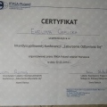 Powiększ obraz: certificate 5