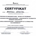 Powiększ obraz: certificate 20