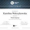 Powiększ obraz: certificate 9