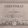 Powiększ obraz: certificate 1