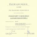 Powiększ obraz: certificate 8