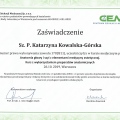 Powiększ obraz: certificate 63