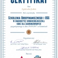 Powiększ obraz: certificate 6