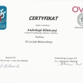 Powiększ obraz: certificate 3