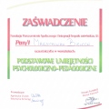 Powiększ obraz: certificate 6
