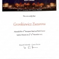 Powiększ obraz: certificate 11