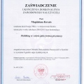 Powiększ obraz: certificate 29