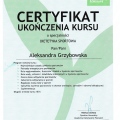 Powiększ obraz: certificate 7