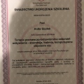 Powiększ obraz: certificate 5