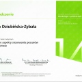 Powiększ obraz: certificate 12