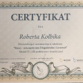 Powiększ obraz: certificate 9