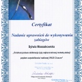 Powiększ obraz: certificate 6