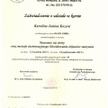 Powiększ obraz: certificate 5