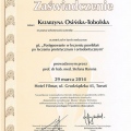 Powiększ obraz: certificate 2